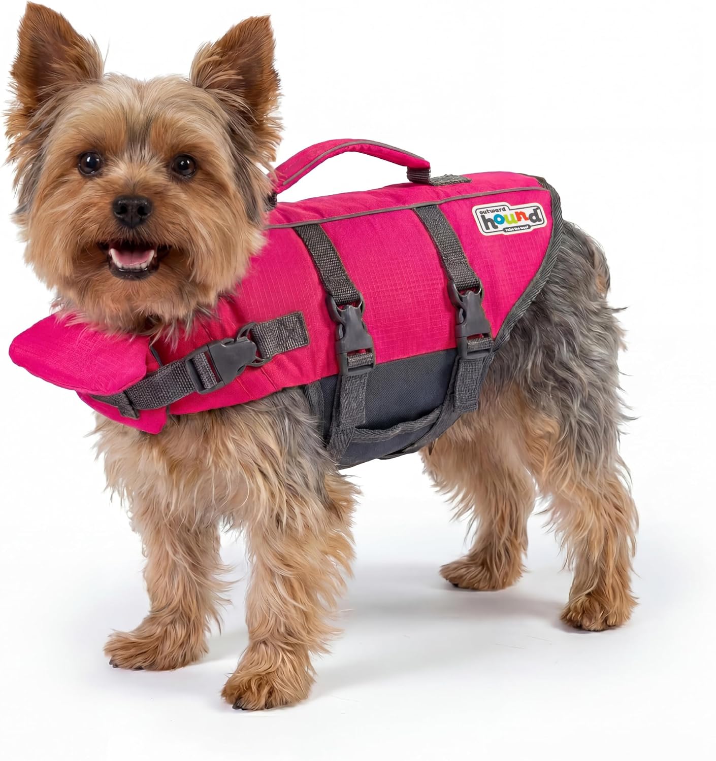 Outward Hound Granby Splash Orange Dog Life Jacket, Large