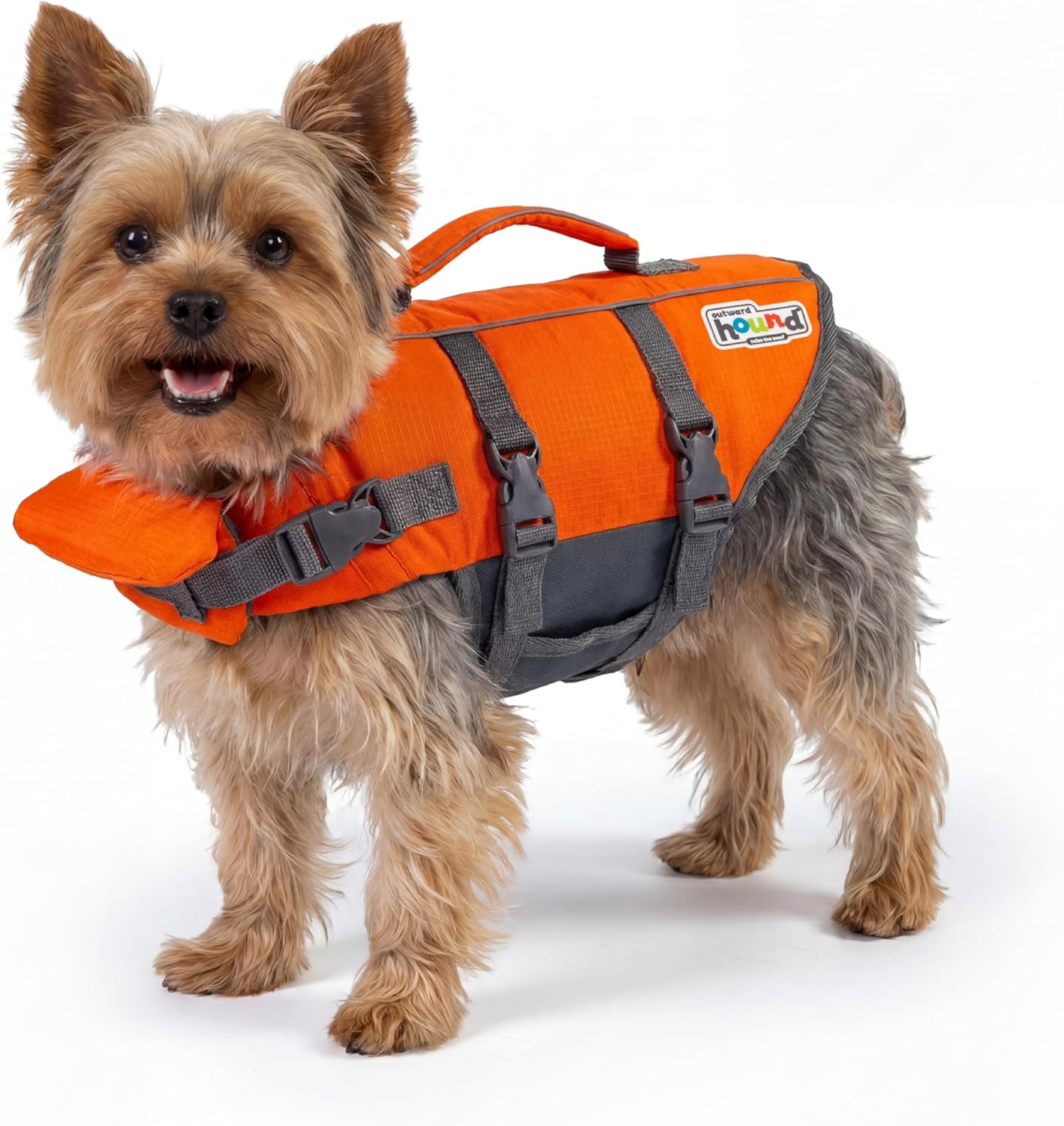 Outward Hound Granby Splash Orange Dog Life Jacket, Large