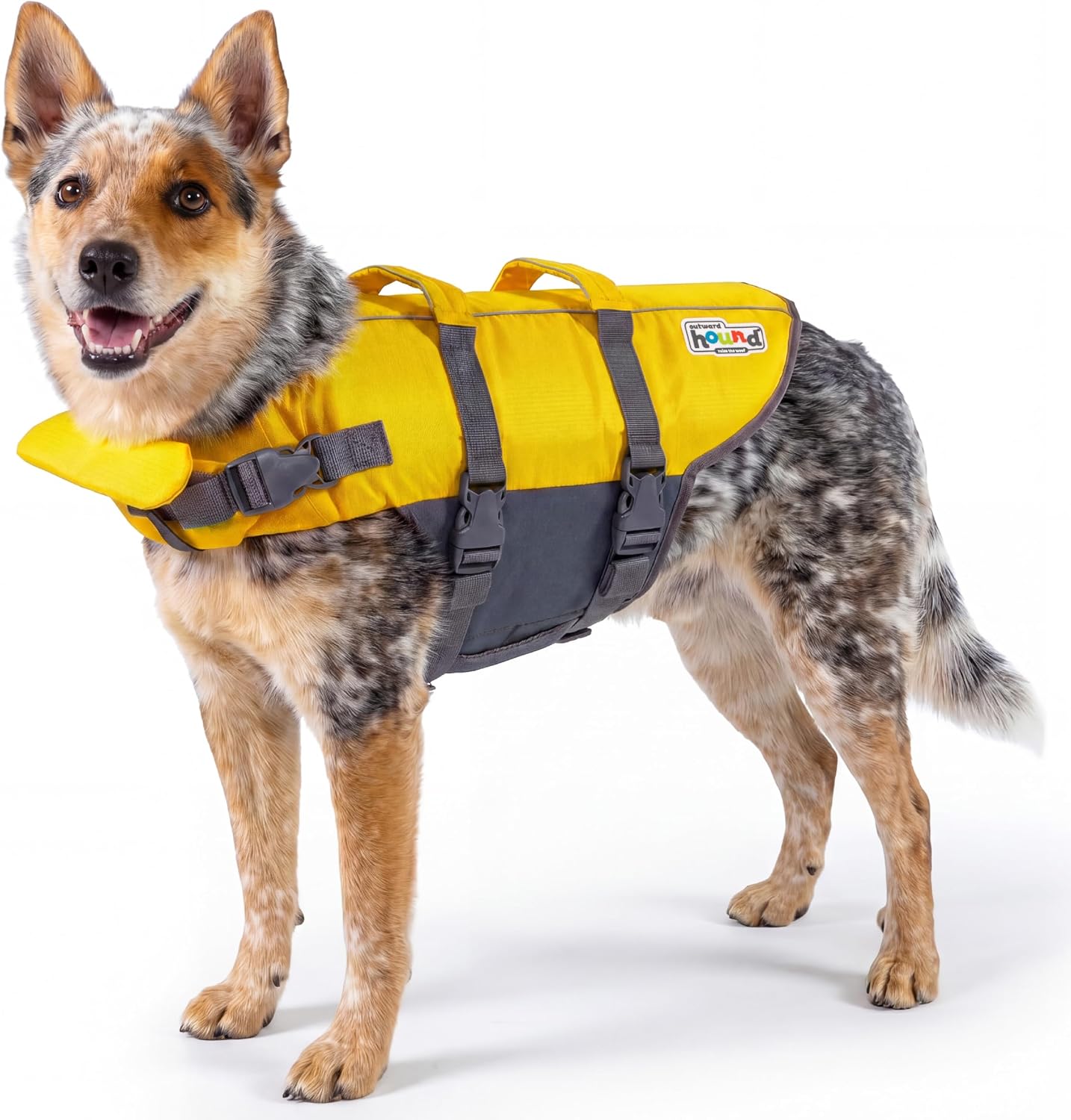 Outward Hound Granby Splash Orange Dog Life Jacket, Large
