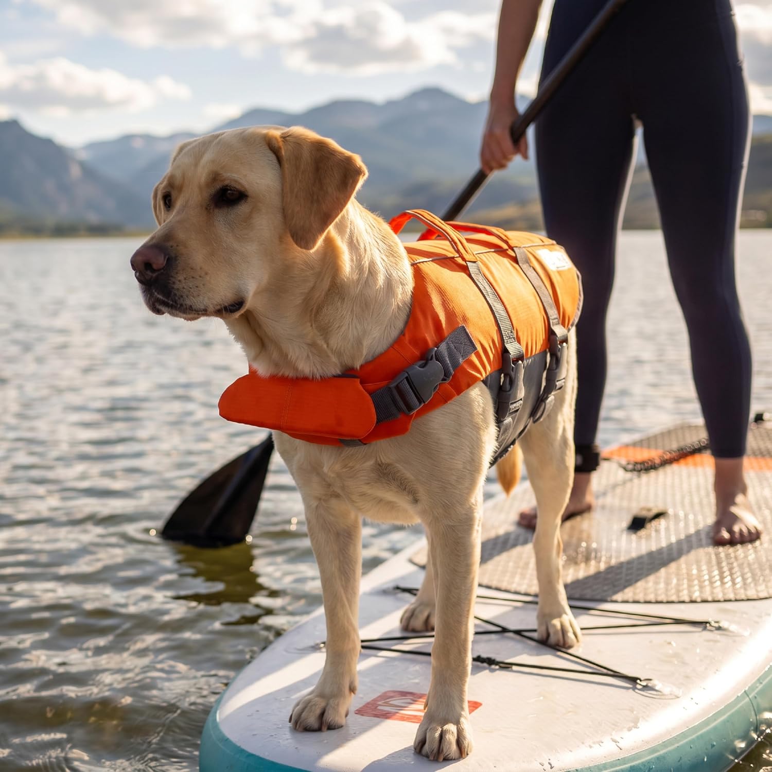 Outward Hound Granby Splash Orange Dog Life Jacket, Large