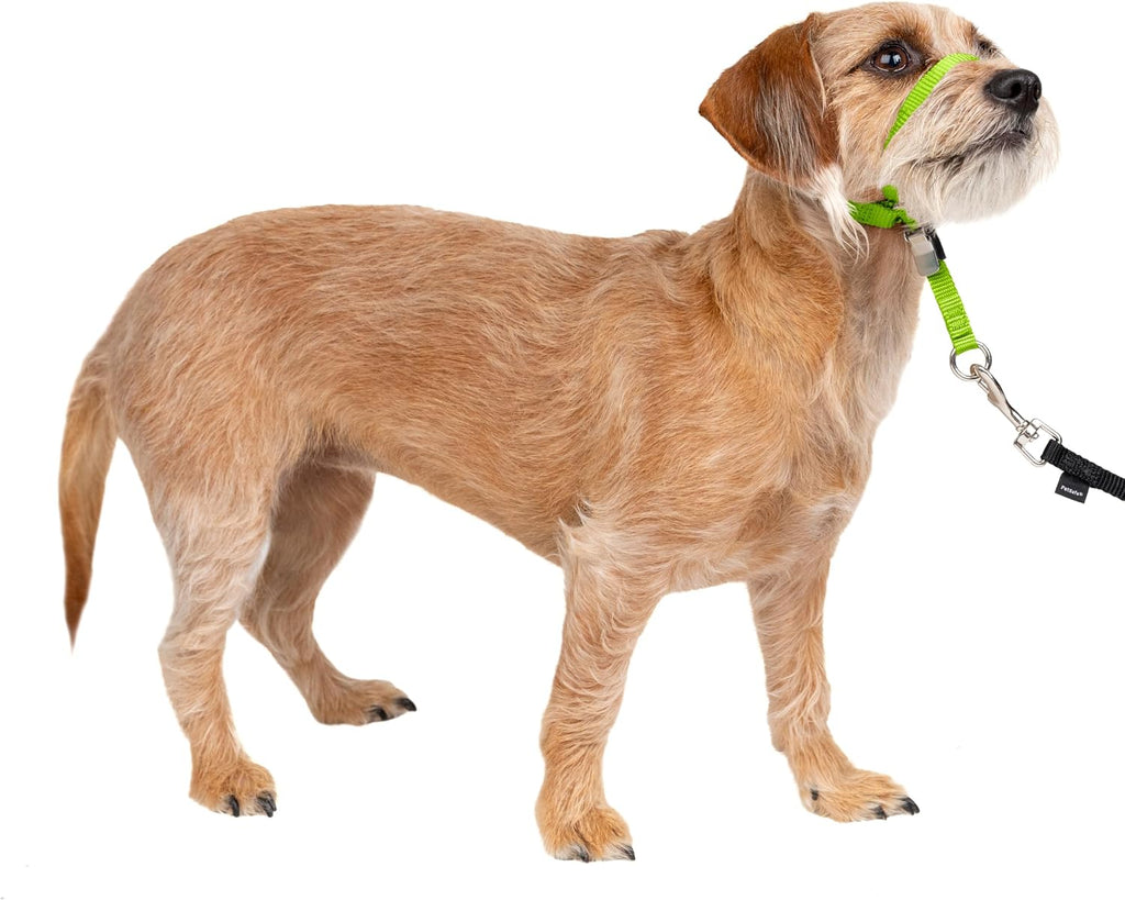 PetSafe Gentle Leader No-Pull Dog Headcollar - The Ultimate Solution to Pulling - Redirects Your Dog's Pulling for Easier Walks - Helps You Regain Control - Large, Black