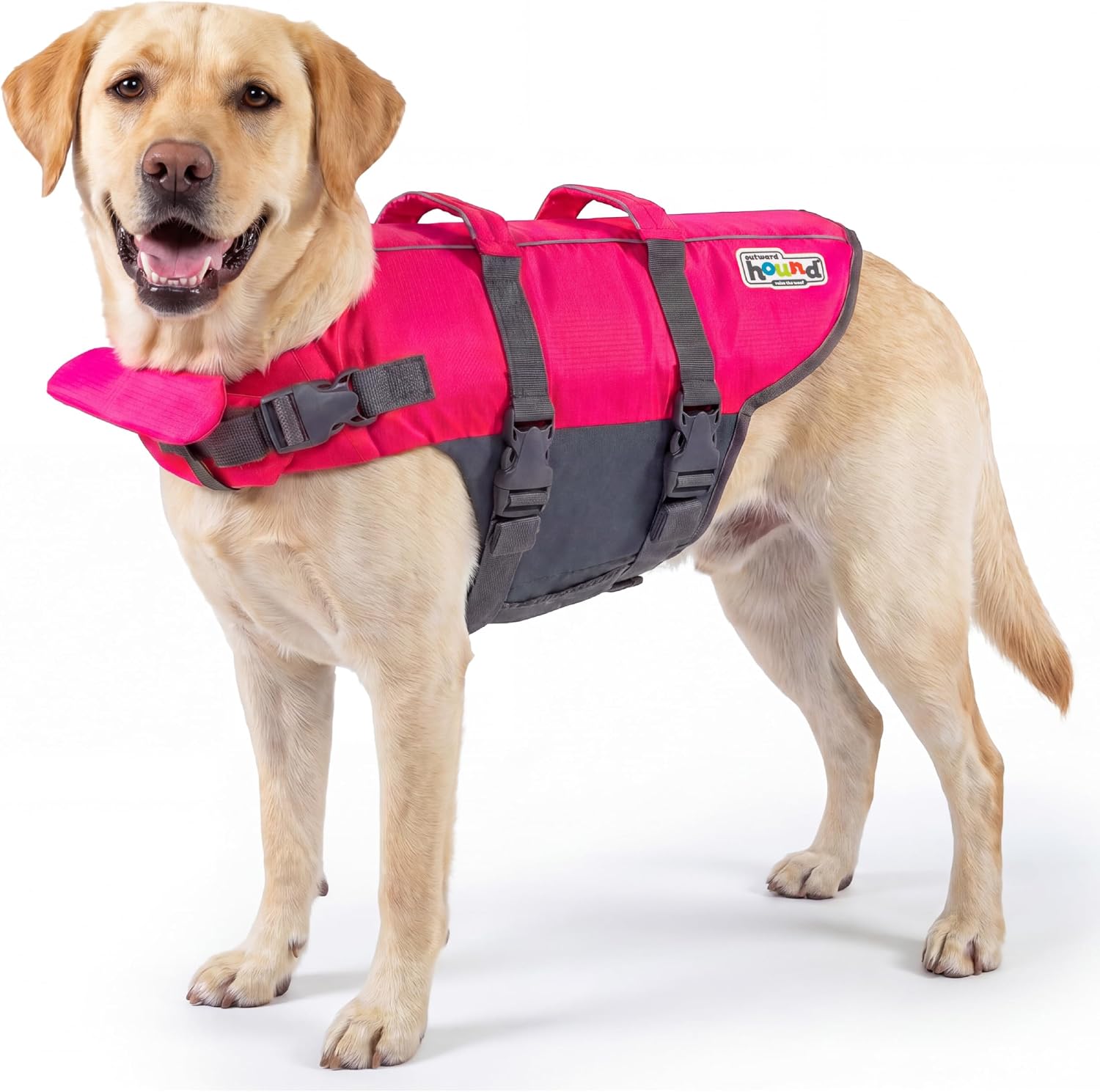 Outward Hound Granby Splash Orange Dog Life Jacket, Large
