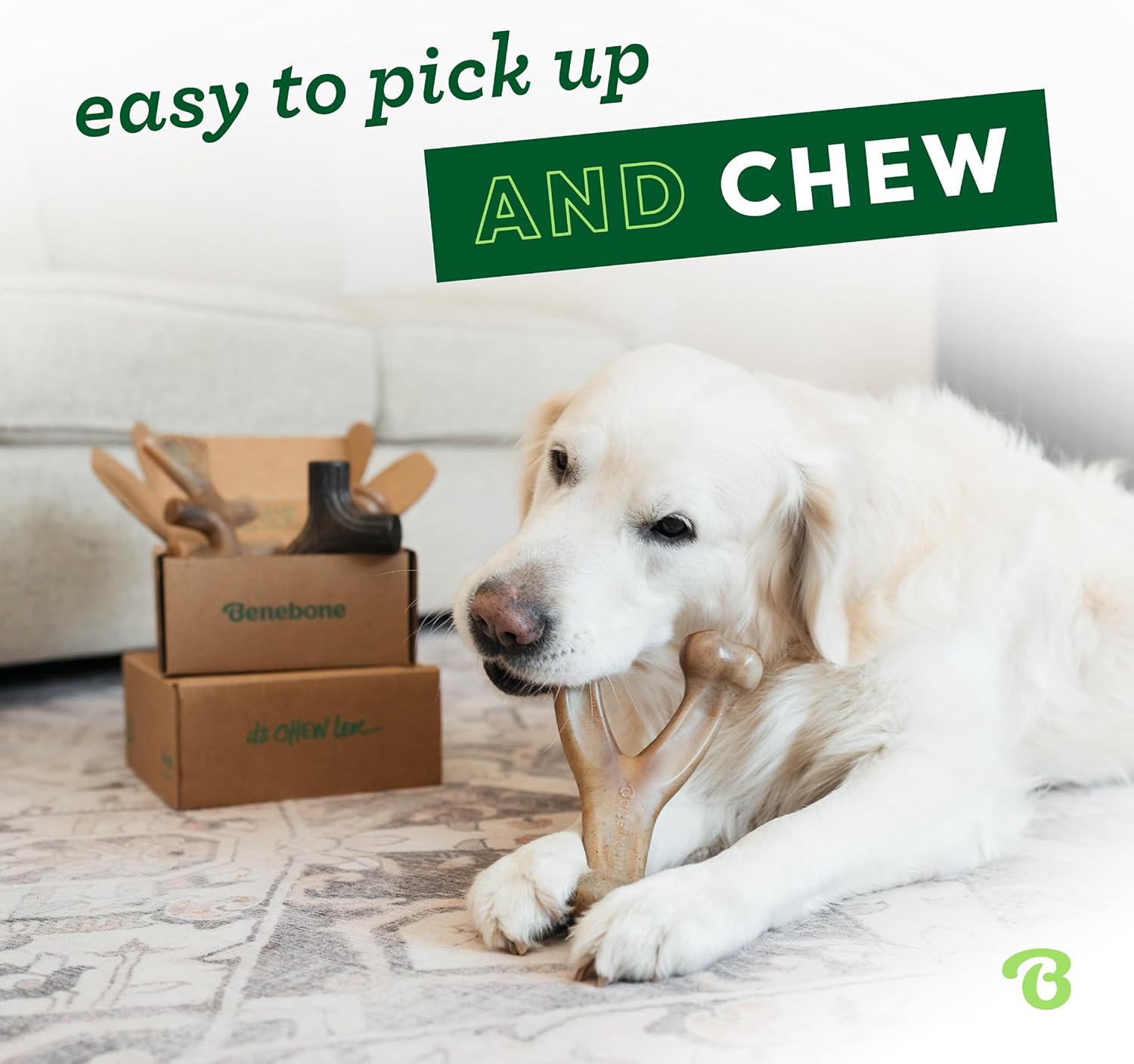 Benebone Medium 4-Pack Dog Toys for Aggressive Chewers – Durable Dog Bones, Made in USA – Dog Toys for Medium Dogs Under 60 lbs