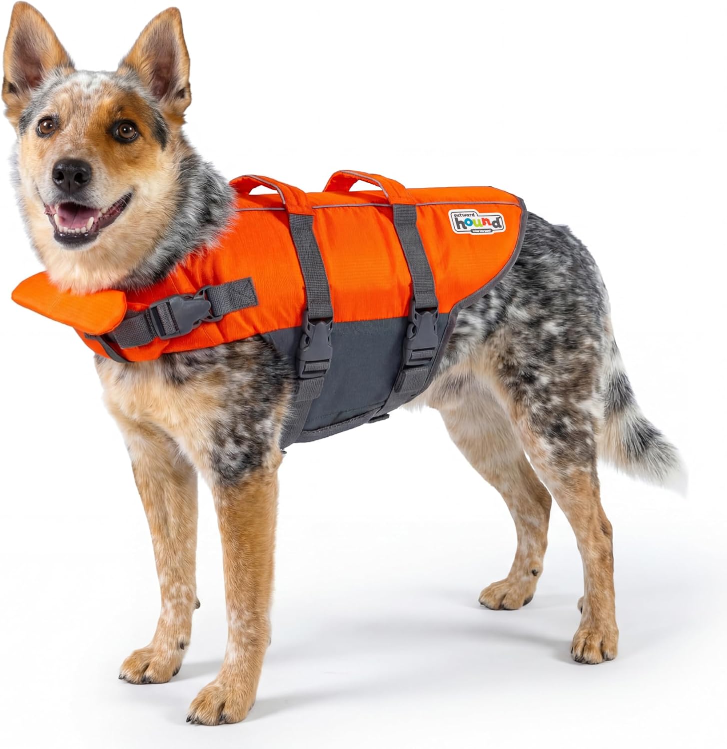 Outward Hound Granby Splash Orange Dog Life Jacket, Large