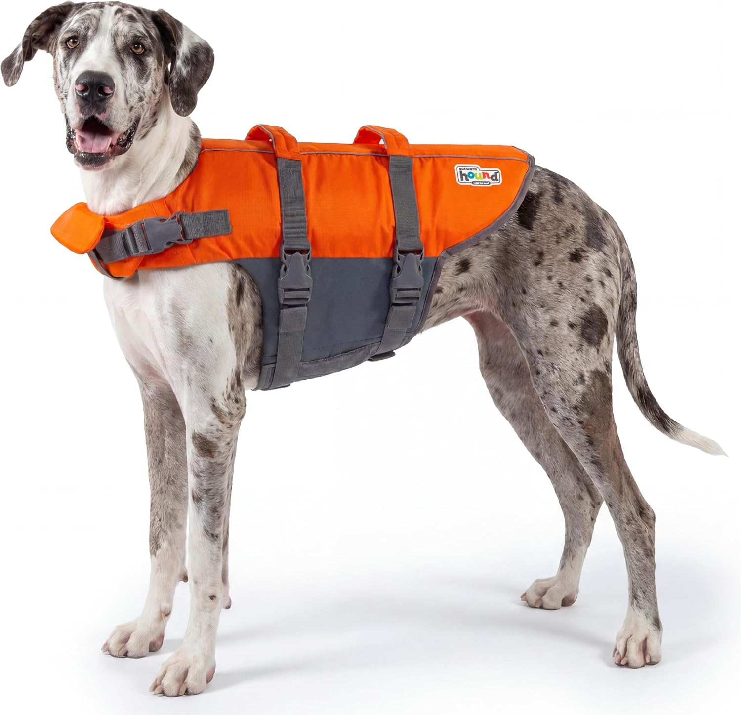 Outward Hound Granby Splash Orange Dog Life Jacket, Large