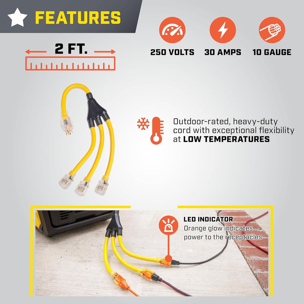 Champion Power Equipment 2 ft. 30A 250V Generator Adapter Cord