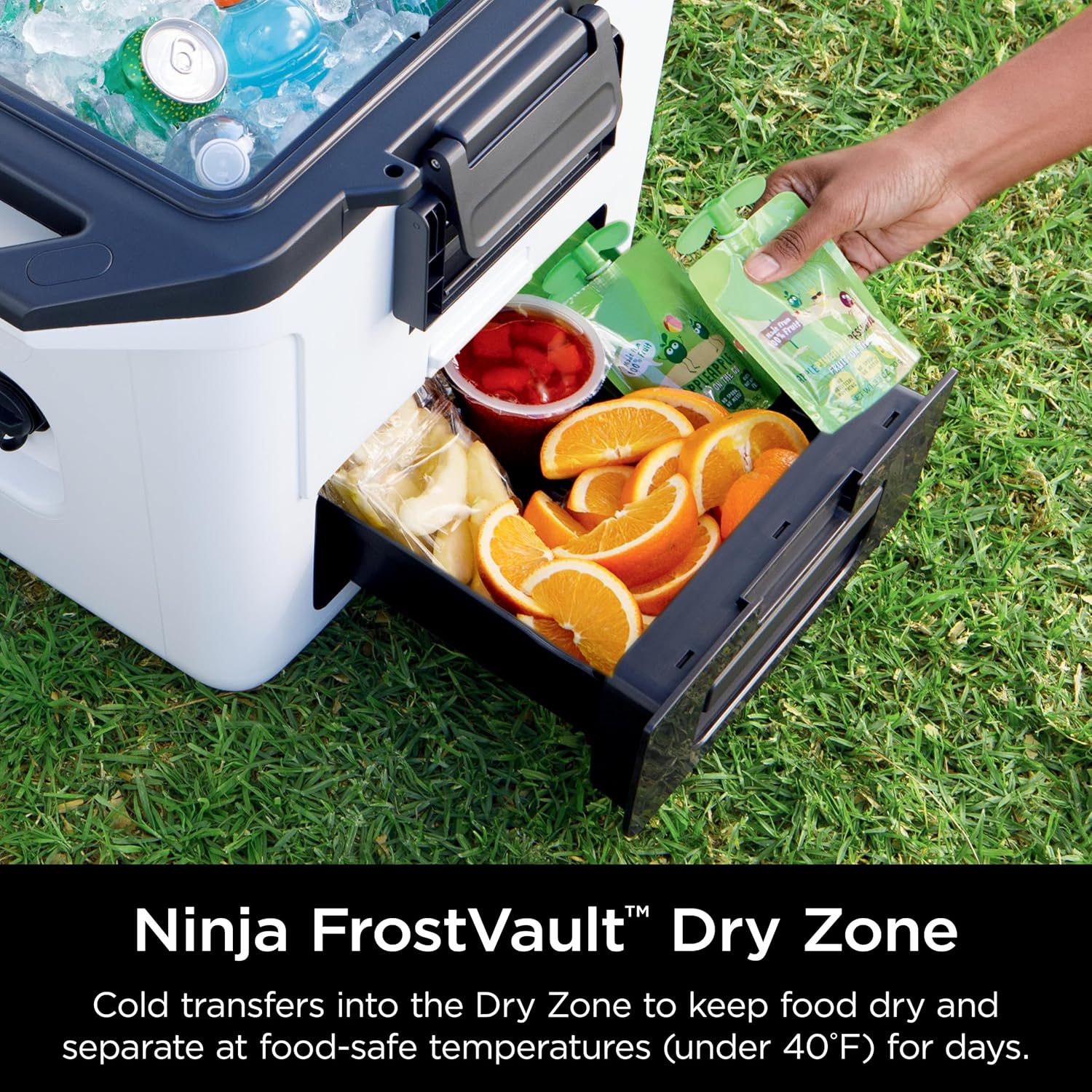 Ninja FrostVault 30qt Hard Cooler with Dry Zone | Integrated Fridge-Temp Dry Storage Drawer | Premium Heavy-Duty Insulated Cooler | Keeps Ice Cold for Days | Halocline Green | FB131TL