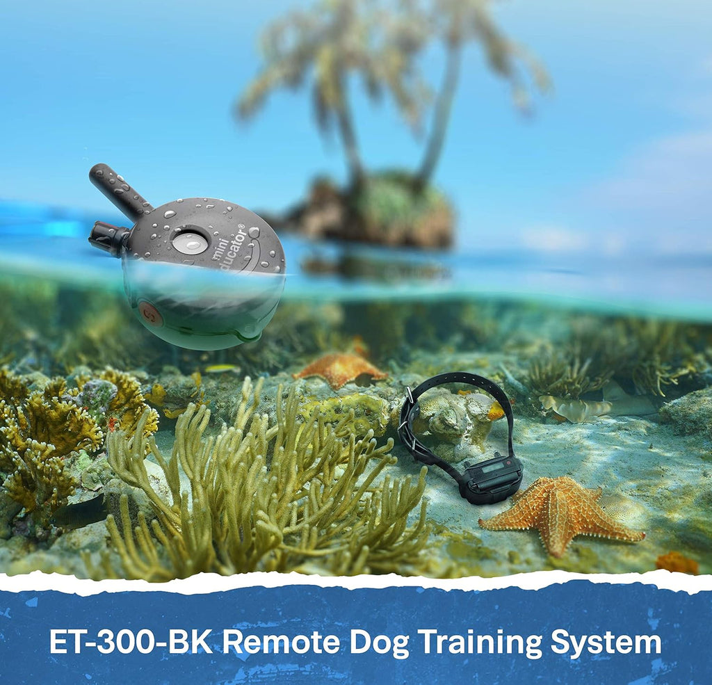 Educator ET-300 Black Mini E Collar for Dog Training with Remote - 1/2 Mile Range, Waterproof, 100 Blunt Stimulation Levels, Tone or Vibration Mode, Night Light Tracking for Small, Medium & Large Dogs
